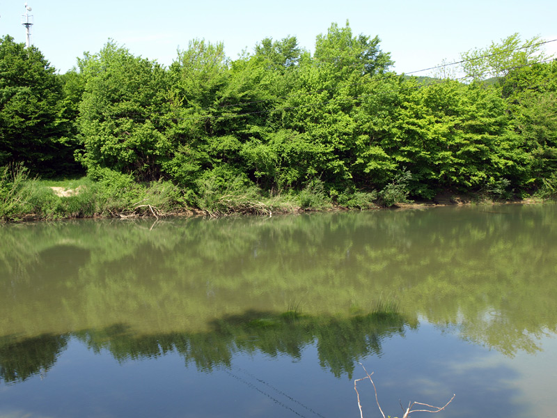 Река Псекупс. Горячий Ключ, весна 2012