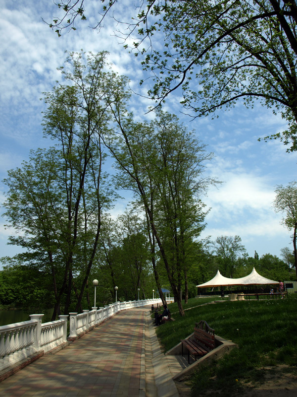 Деревья и небо... Горячий Ключ, весна 2012