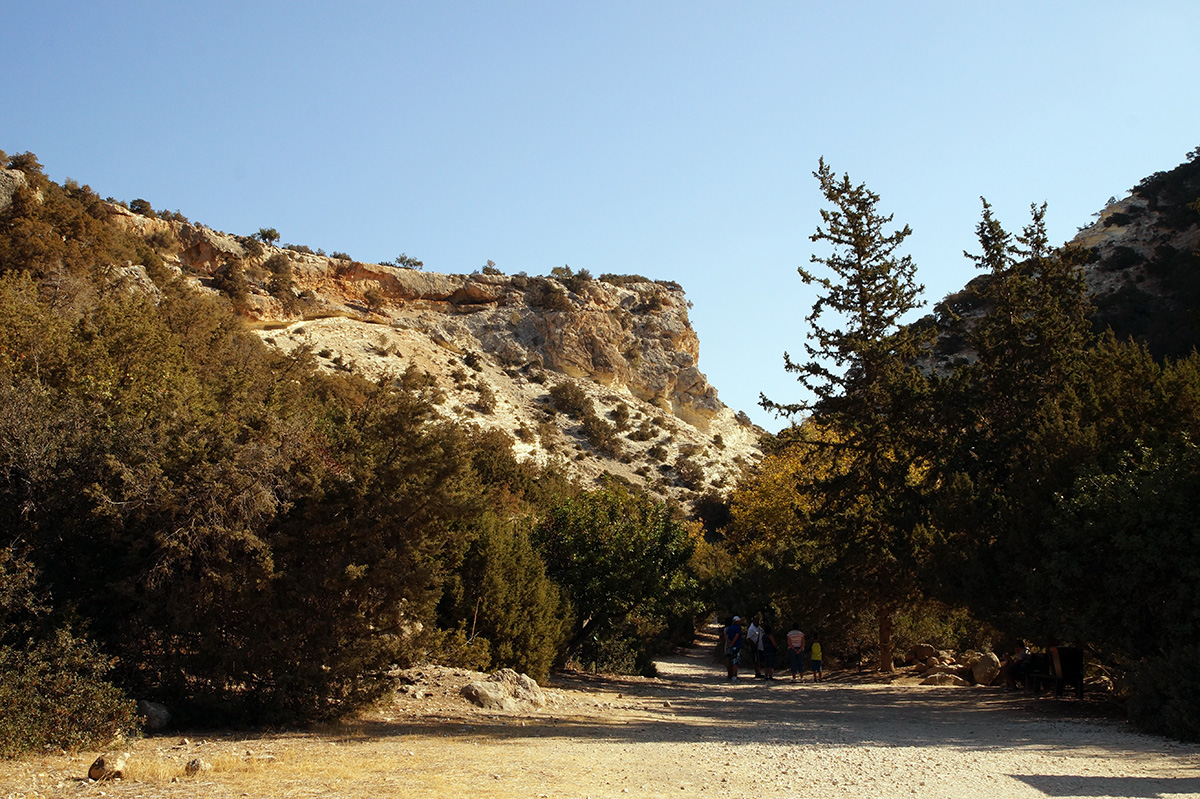  полуостров Акамас, Кипр, осень 2016