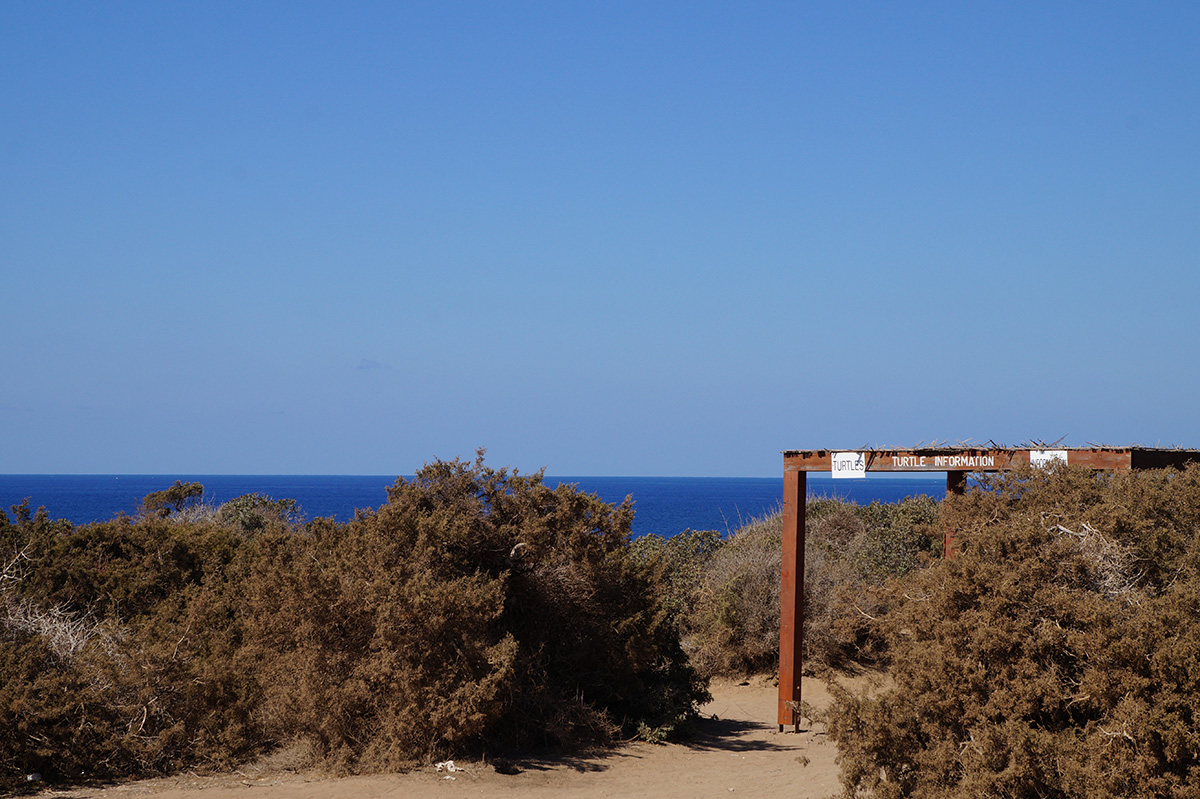  полуостров Акамас, Кипр, осень 2016