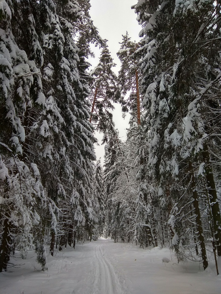 Нахабино, Подмосковье, зима 2018
