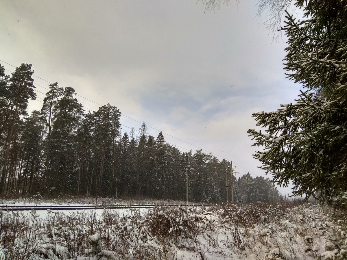 Лес в Нахабино. Нахабино места лес. Видное Московская область зимой. Нахабино лес с высоты фото. Подмосковная зима