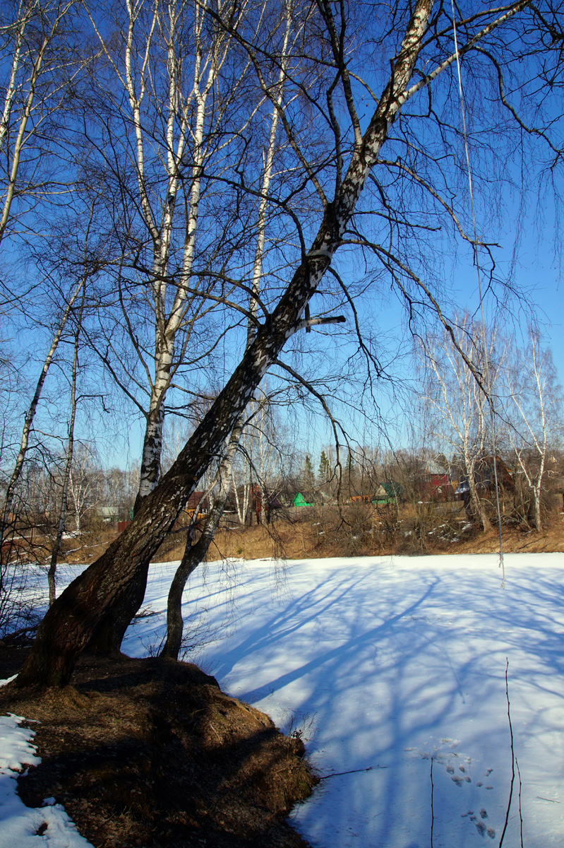 Дедовск, Подмосковье, весна 2017