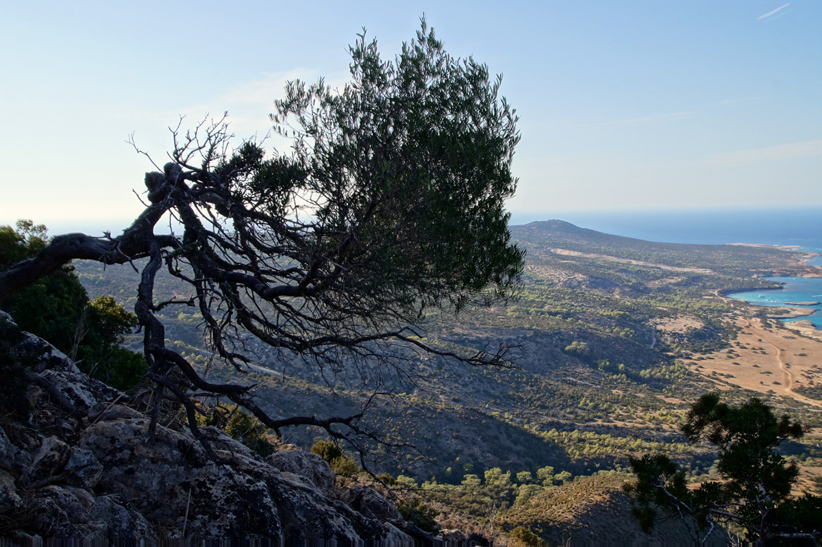 Тропа Афродиты. Лачи, Кипр, осень 2017