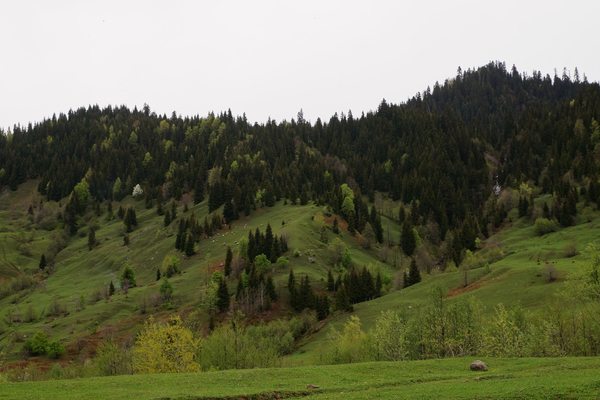 Аджария, Грузия, весна 2018