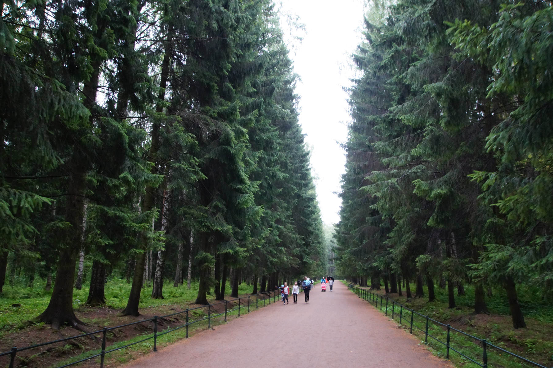 
Павловск, Санкт-Петербург, лето 2019