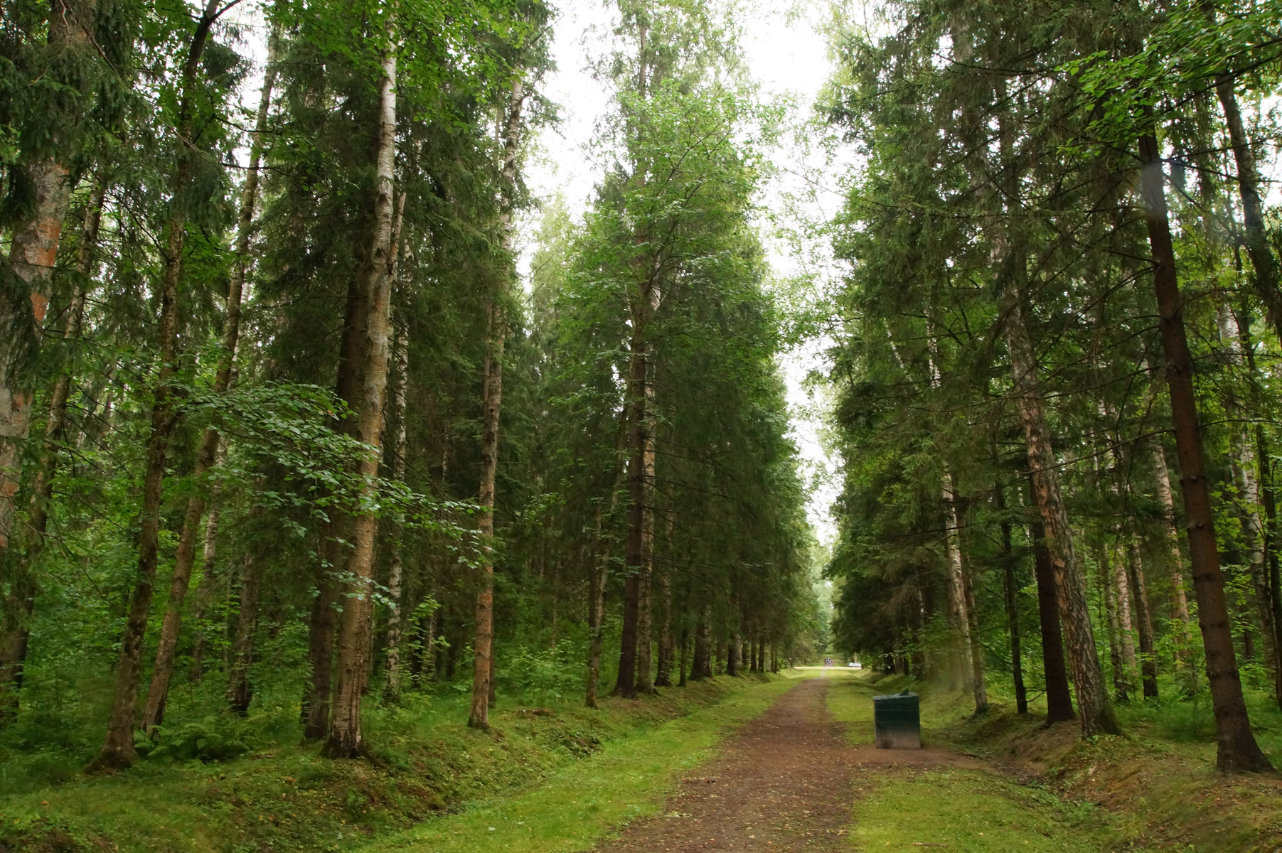 
Павловск, Санкт-Петербург, лето 2019