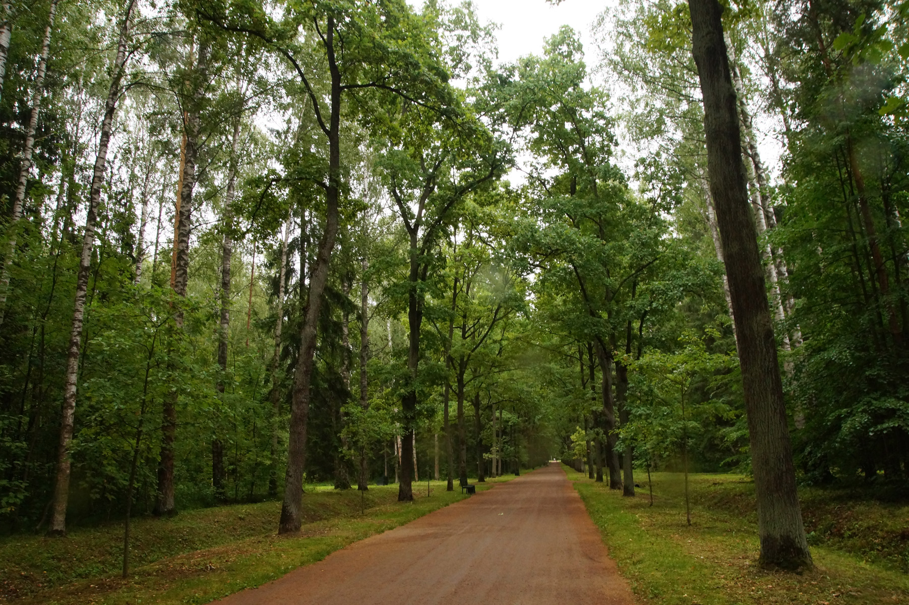 
Павловск, Санкт-Петербург, лето 2019