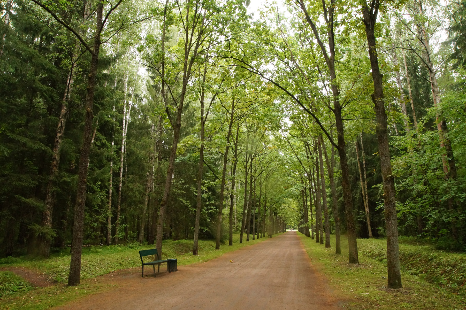 
Павловск, Санкт-Петербург, лето 2019