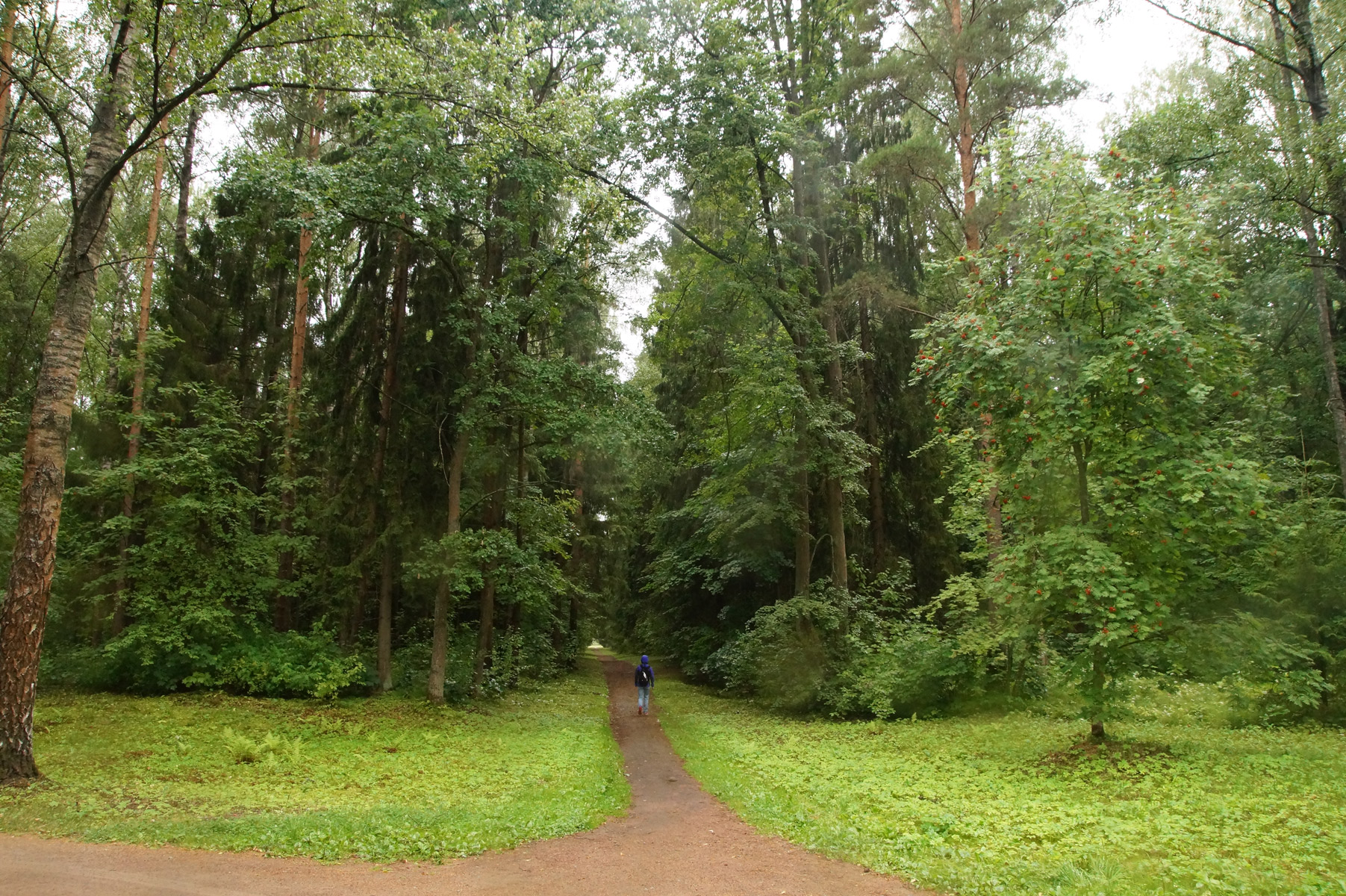 
Павловск, Санкт-Петербург, лето 2019