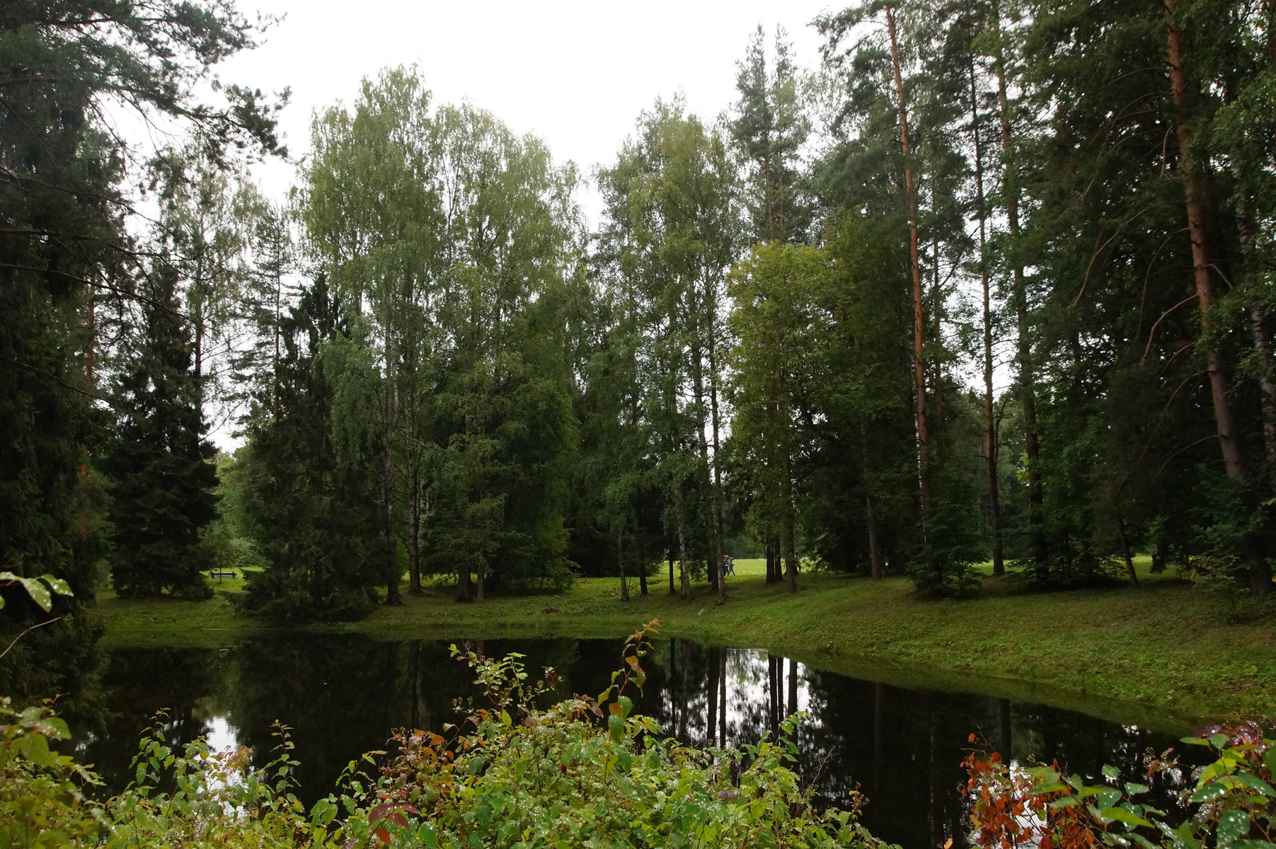 
Павловск, Санкт-Петербург, лето 2019