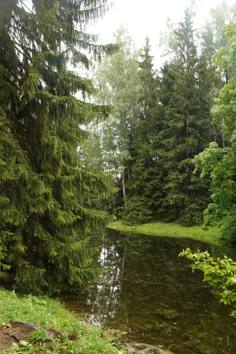 
Павловск, Санкт-Петербург, лето 2019