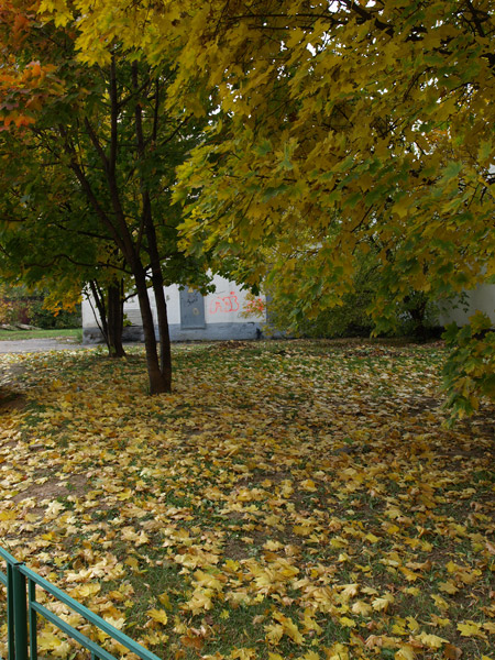 Россыпи листьев... Москва, осень 2008