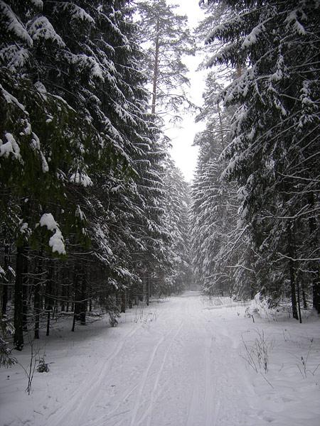 Снегопад Нахабино, зима 2008