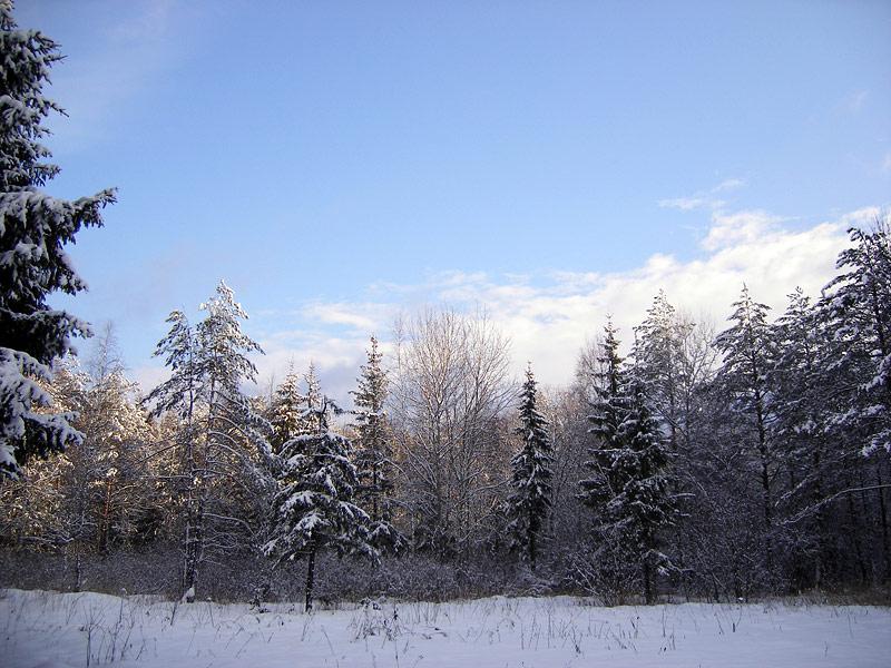 Небеса и сказочный лес Нахабино, зима 2008