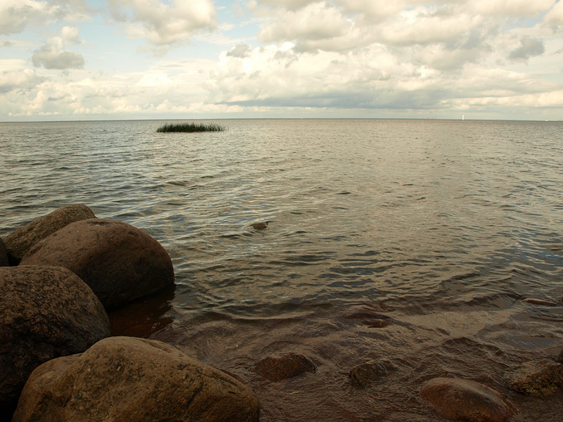 Финский залив соленая вода. Петергоф финский залив. Финский залив в Петергофе лето. Петергоф финский залив пляж. Финский залив из Петергофа.